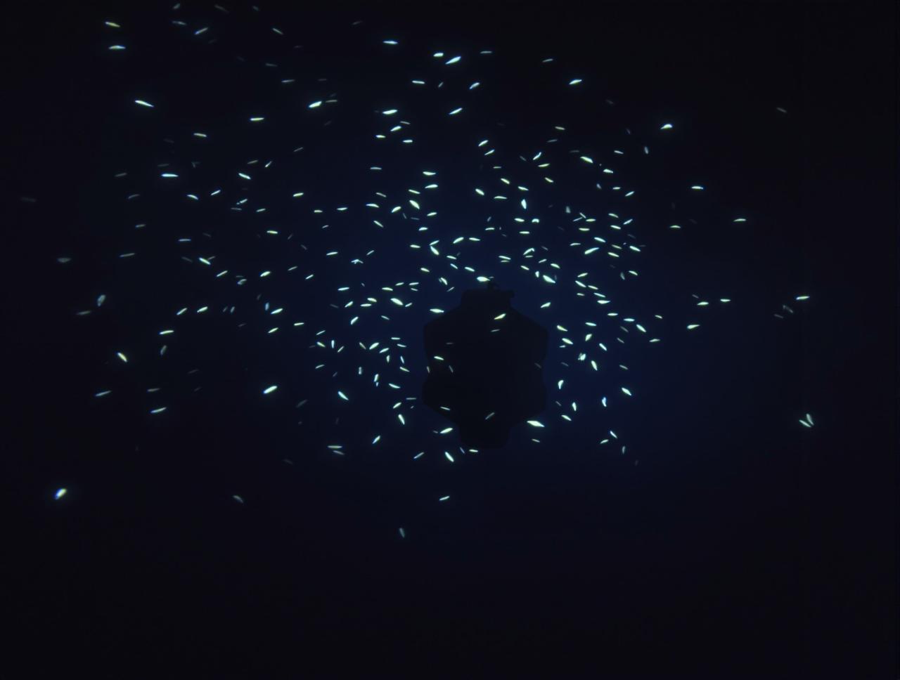 撸视频纪录片:深海探秘观后感分享
